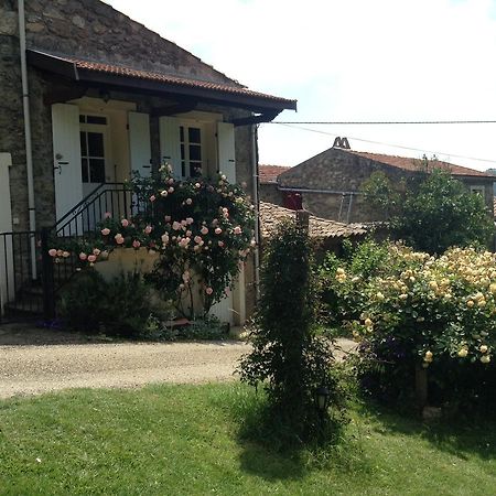 Willa Le Vitrier Saint-Jean-de-Muzols Zewnętrze zdjęcie